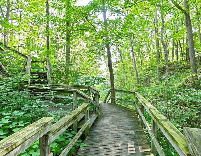 Bear Cave and Resort - 2022 Photos From Website (newer photo)